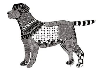 Labrador, 2015 (tinta sobre cartulina)