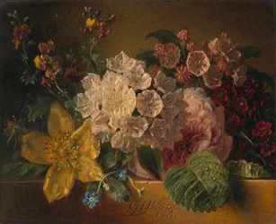 Flores
