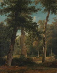 Un bosque en Fontainebleau