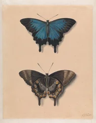 Dos capillas