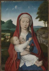 Virgen con el Niño, c.1510-20 (óleo sobre tabla)