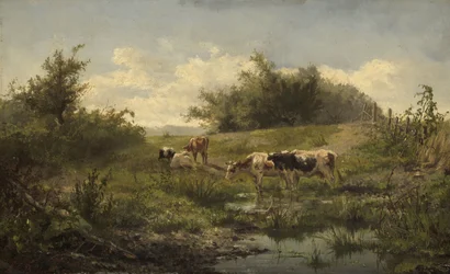 Vacas en un estanque