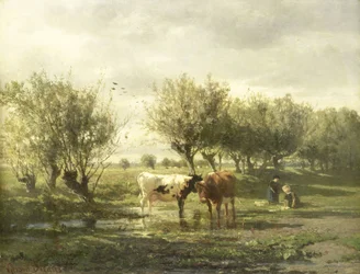 Vacas en un estanque
