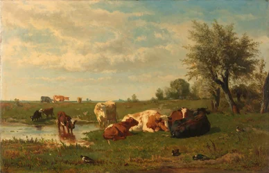 Vacas en el prado
