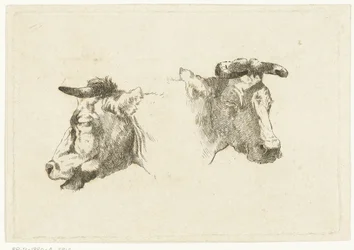 Dos cabezas de vacas