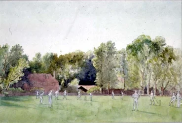 El partido de cricket