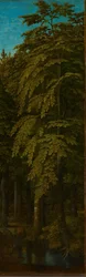 Vista en un bosque, c.1505-1515 (óleo sobre tabla)