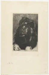 cabeza de un león