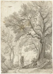 Bosque de Villa Madama en las afueras de Roma