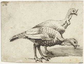 dos pavos