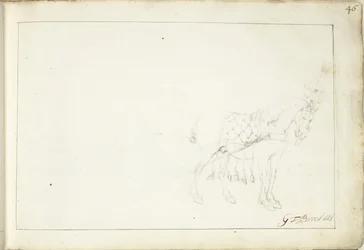 Caballo, a la derecha