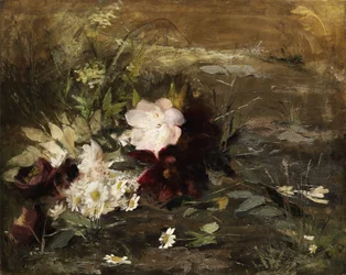 Holandés: Seerosen flores y margaritas en la orilla