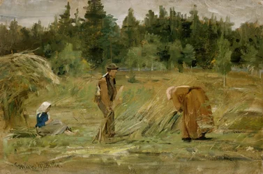 El campo del hombre pobre