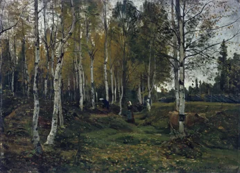 Bosque de abedules en otoño