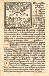 Purgatorio