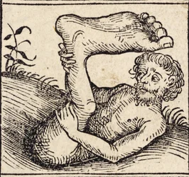 Un sciopod, Hombre con un pie hinchado, de ``Registrum Hujus Operis Libri Cronicarum cum Figuri et Imagibus ab Inicio Mundi