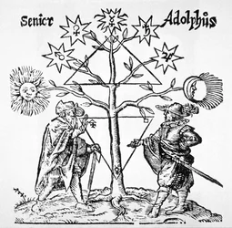 El árbol alquímico, diagramático y emblemático, de Museum Hermeticum por Thomas Norton (1749) ilustrado en una historia de la magia publicado a finales del siglo XIX