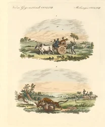 Antílopes cazando con leopardos