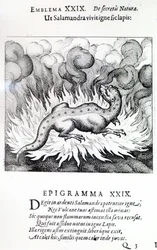 Como la salamandra vive en el fuego, así también la piedra, Emblema XXIX de Atalanta fugiens por Michael Maier, 1617