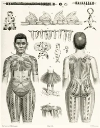 Diagrama que muestra joyería polinesia, adornos y diseños de tatuajes, 1888