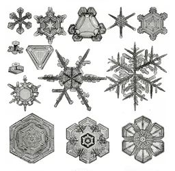 Diferentes formas de copos de nieve