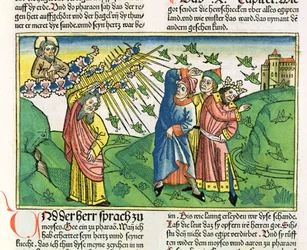 Éxodo 10:1-20 Las siete plagas de Egipto: la plaga de langostas, de la Biblia de Núremberg (Biblia Sacra Germanica)