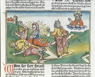 Éxodo 9, 8-12: Las siete plagas de Egipto - Moisés y la plaga de las úlceras, de la Biblia de Núremberg (Biblia Sacra Germanica)