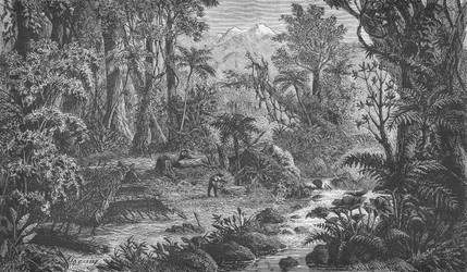 Escena forestal en la India Lejana