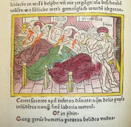Hipermnestra, Linceo