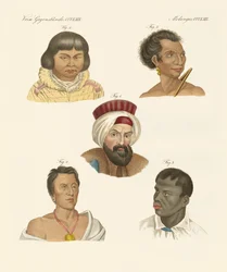Ilustración de las principales razas humanas