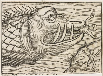 Jonás y la ballena