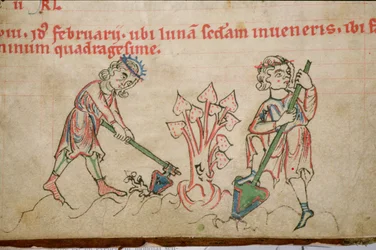 Ms 54 f.37 Febrero: Azada, salterio cisterciense (vitela)