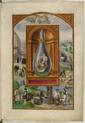 Ms Harley 3469, f.23 Niño y dragón en matraz, el Cuarto Tratado, de 