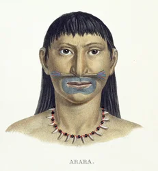 Hombre nativo de la tribu Arara con pintura facial azul, del Atlas de un viaje en Brasil de Johann Baptist von Spix (1781-1826) y Karl Friedrich Philipp Martius (1794-1868), publicado c.1835-50