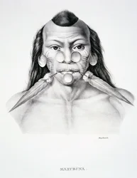 Hombre nativo de la tribu Maxuruna, con decoración facial, del Atlas de un viaje en Brasil por Dr. von Spix y Dr. von Martius