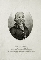 Peter Simon Pallas (1741 – 1811)