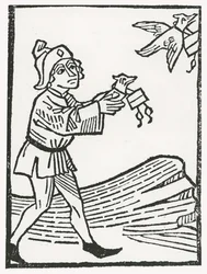 Correo de palomas