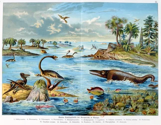 Prehistoria - Jurásico - reconstrucción del entorno natural en Europa y algunos de los animales de este período, 1886