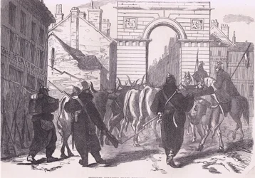 Tropas de forrajeo prusianas trayendo ganado, Historia de la Guerra entre Francia y Alemania de Cassell, publicada por Cassell and Company Limited, c.1890 (litografía)