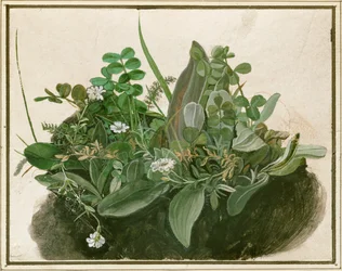 Pequeña mata de césped (acuarela, témpera y pincel sobre pergamino montado sobre cartón)