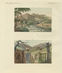 Puentes de cuerda sudamericanos