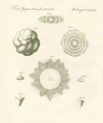 Granizos extraños