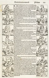 "Gente y criaturas extrañas", ilustración del "Libro de las Crónicas". El registro de esta obra del libro de crónicas...