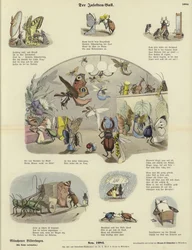 El baile de los insectos