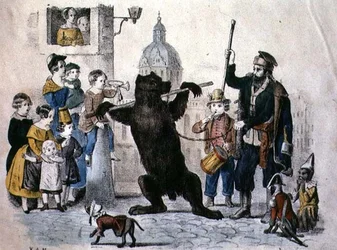 El Oso Actuante