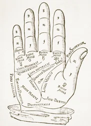 La mano derecha, copia de una ilustración de Cerasariensis por Tricassus, Núremberg 1560, usado en una Historia de la Magia, publicado a finales del siglo XIX