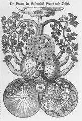 El árbol del conocimiento del bien y del mal