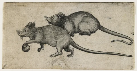 Dos ratones, 1450-80