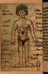 Diagrama del zodiaco que muestra la posición del corazón, de una colección de oraciones y figuras astrológicas