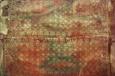 Viaje 299, Sudario de Buda, 2010 (acrílico sobre lienzo)